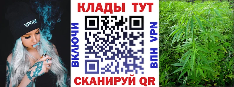 Купить наркотики сайты Новочебоксарск A PVP  Меф мяу мяу  ГАШ  Псилоцибиновые грибы  Марихуана 
