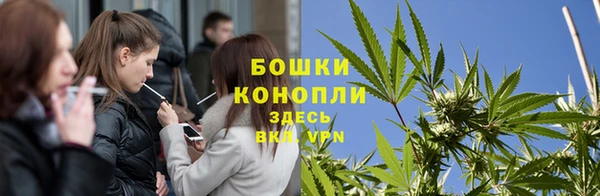 прущие крисы Горняк