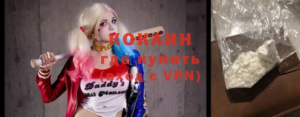 мдпв Горно-Алтайск