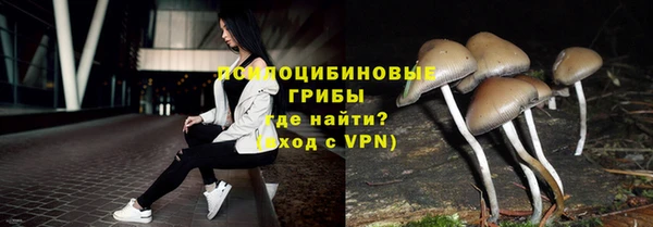 прущие крисы Горняк