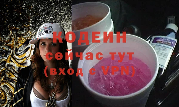 мдпв Горно-Алтайск