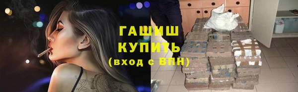 прущие крисы Горняк