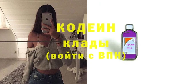 прущие крисы Горняк