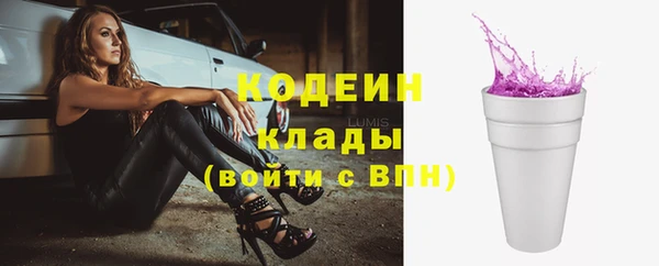 прущие крисы Горняк