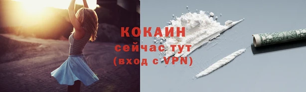 мдпв Горно-Алтайск