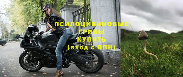 мдпв Горно-Алтайск