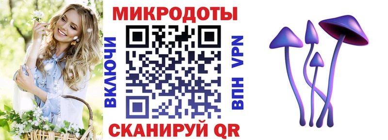 Псилоцибиновые грибы Cubensis Новочебоксарск